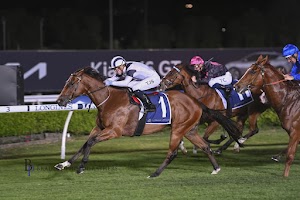 Monarch Racing place picture
